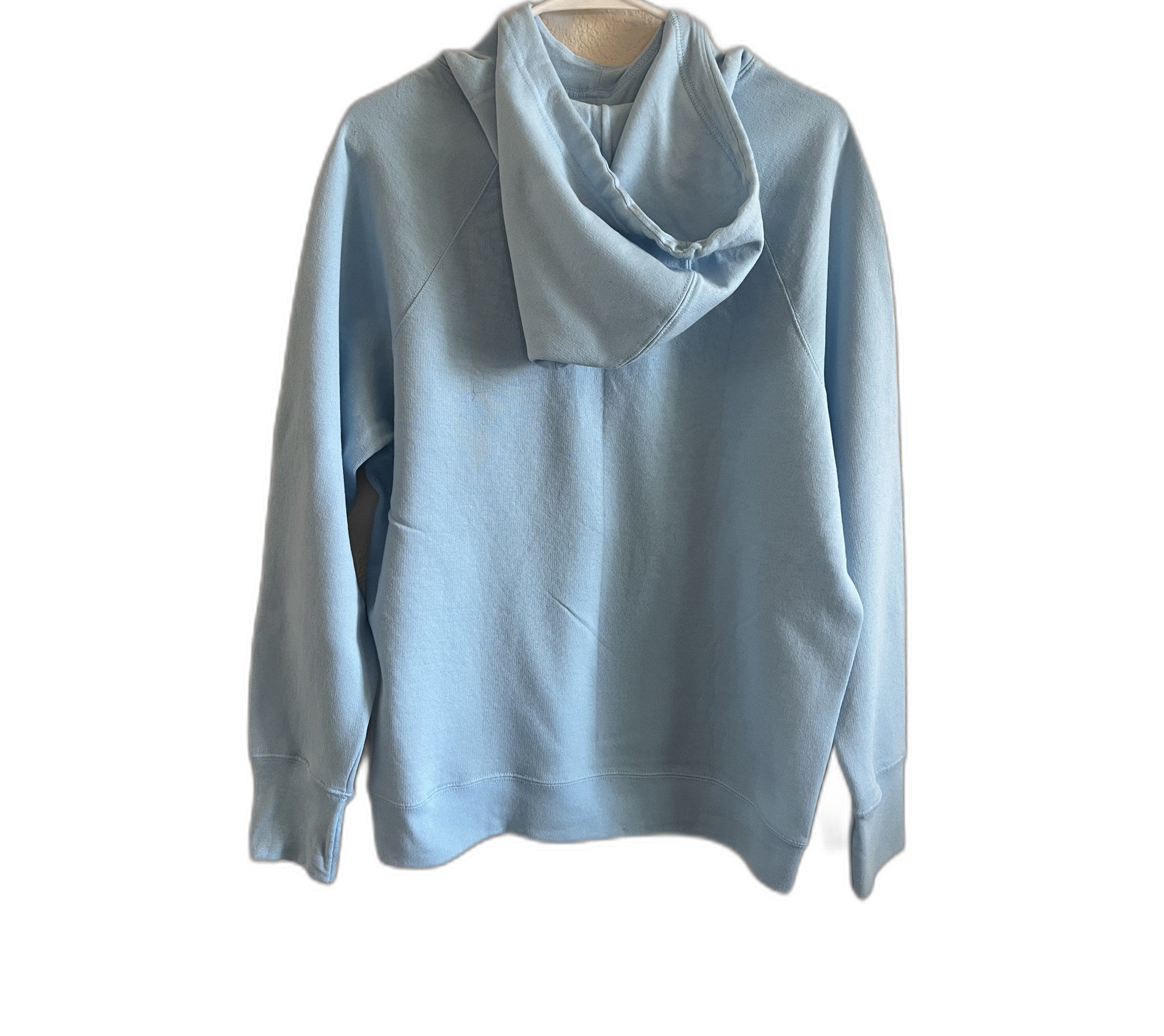 Champion Authentic Athleticwear Light Blue Pullover Hoodie Size L